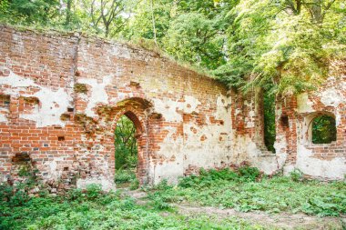 Ortaçağ harabeleri güneşli bir yaz gününde ormanda terk edilmiş bir kilise.