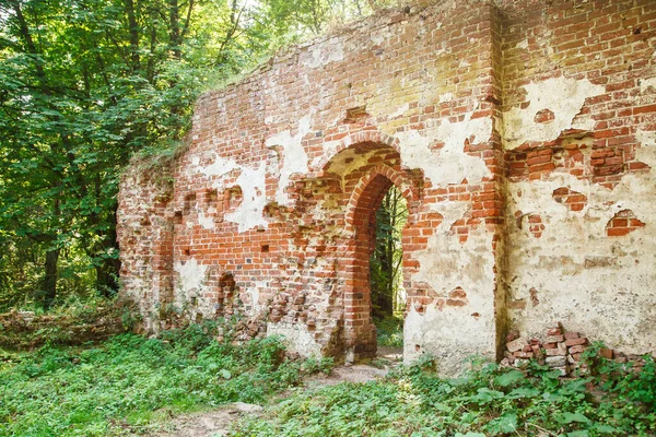 晴れた夏の日に森の中に捨てられた中世の教会の廃墟 — ストック写真