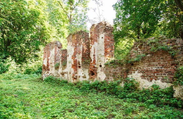 Ortaçağ harabeleri güneşli bir yaz gününde ormanda terk edilmiş bir kilise.