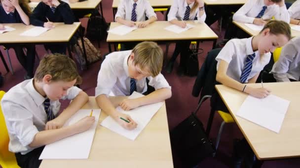 Étudiants travaillant à leur bureau — Video