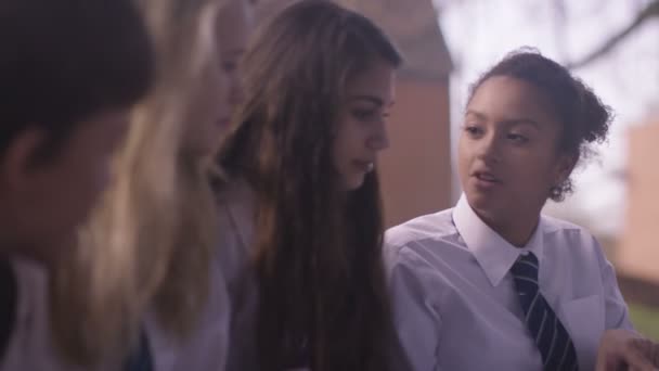 Дети в школе общаются на открытом воздухе — стоковое видео