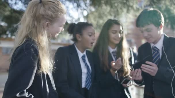 Školní děti používající mobilní telefony — Stock video
