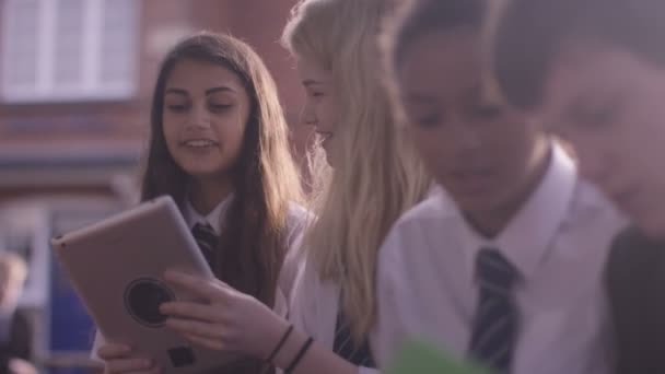 Okul çocukları bir proje tartışıyor — Stok video