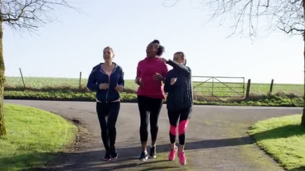 Friends running in the countryside — Αρχείο Βίντεο