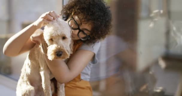 Mulher relaxante com cão — Vídeo de Stock