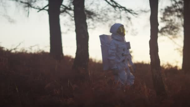 Kroków w zalesionej okolicy astronauty — Wideo stockowe