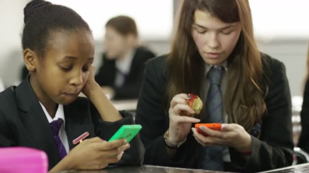 Chicas mirando los teléfonos móviles — Vídeo de stock