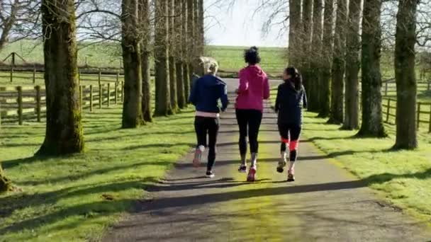 Friends running in the countryside — Stock video