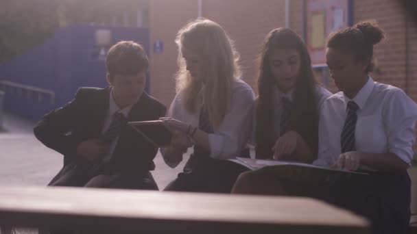 Niños en edad escolar discutiendo un proyecto — Vídeo de stock