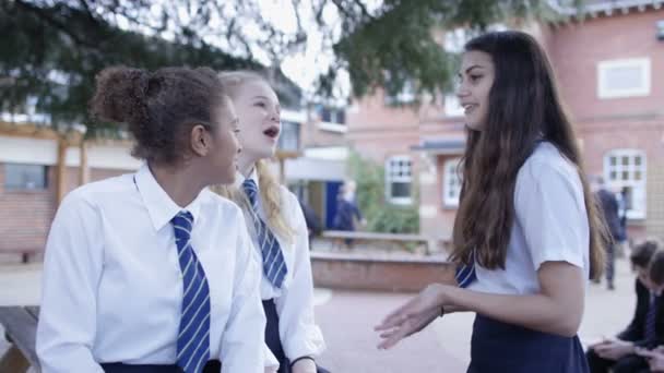 Escuela chicas charlando — Vídeos de Stock