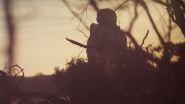 Astronaut walking in woodland area — Stockvideo