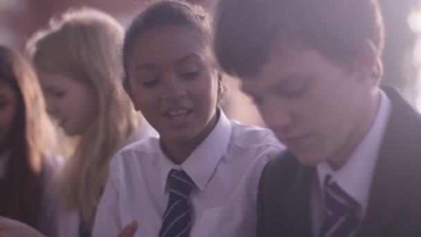 Crianças em idade escolar discutindo um projeto — Vídeo de Stock