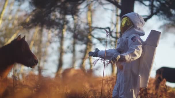 Астронавт гуляет по лесам — стоковое видео