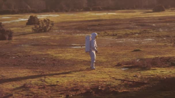 Astronauta caminando en la zona boscosa — Vídeo de stock