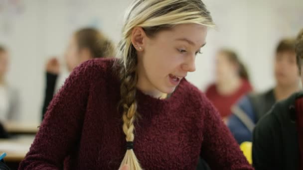 Students working at their desks — Stock Video