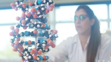 öğretmen DNA modeli arıyorum
