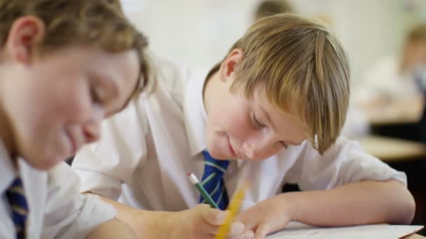 Étudiants en classe scolaire — Video