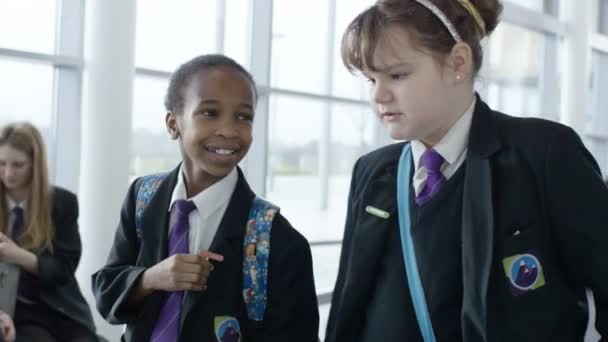 Niñas de la escuela charlando juntos — Vídeo de stock