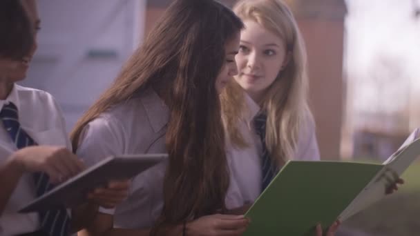 Crianças em idade escolar discutindo um projeto — Vídeo de Stock