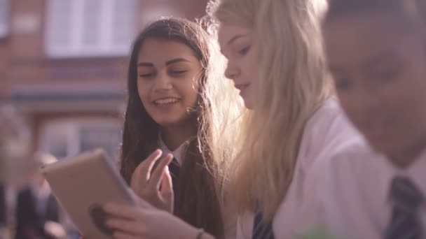 Des écoliers discutent d'un projet 