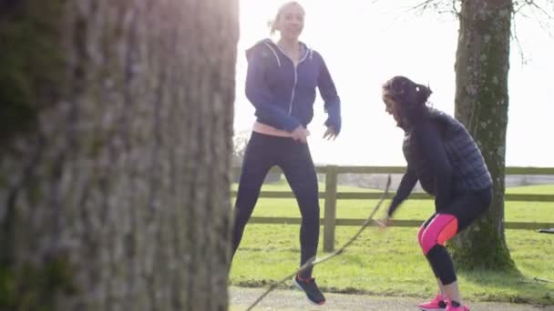 Vrienden uit te werken op het platteland — Stockvideo