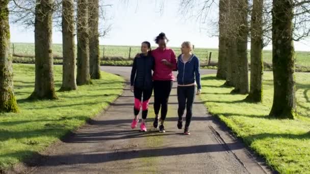 Friends walking in the countryside — Stock video