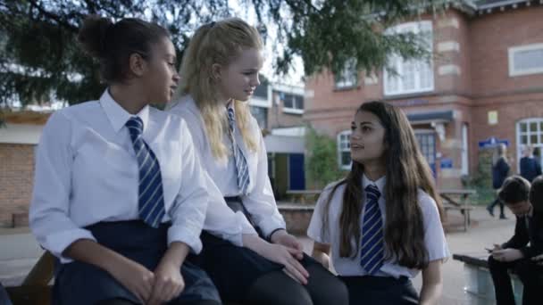Школьные девочки общаются на школьной площадке — стоковое видео