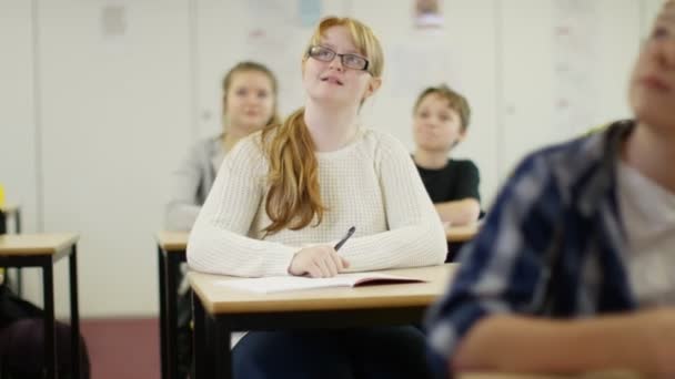 Lehrer steht auf einem Stuhl — Stockvideo