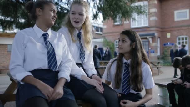 Chicas de la escuela charlando en el patio de la escuela — Vídeos de Stock