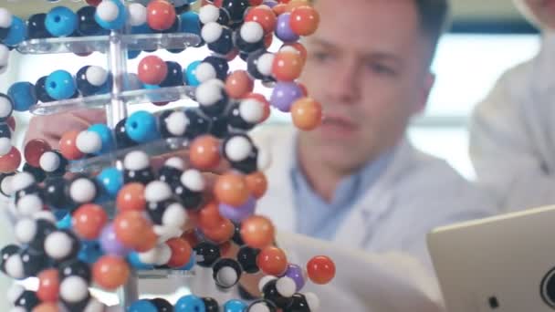 Professeurs regardant le modèle ADN 