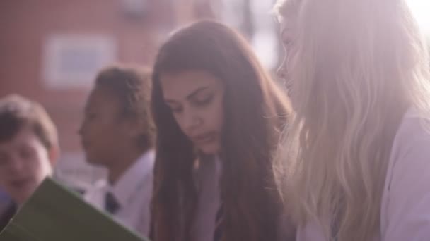 School children discussing a project — Stock Video