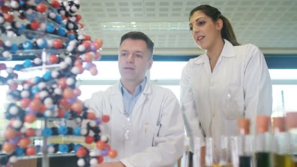 Professores olhando para o modelo de DNA — Vídeo de Stock