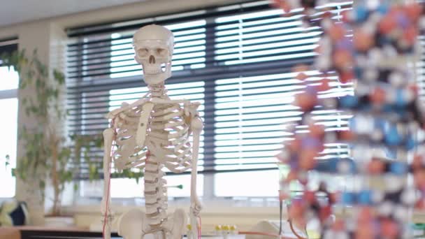 Peralatan pendidikan di kelas sains — Stok Video