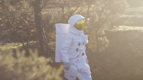 Astronaut walking in woodland area — Stockvideo