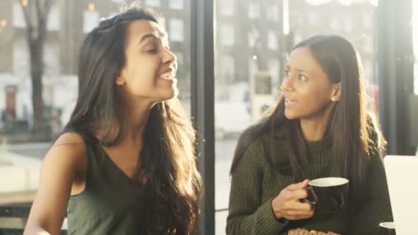 Amis prenant des boissons dans un café — Video