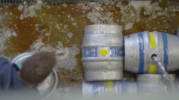 Работник пивоварни, наполняющий бочки с пивом — стоковое видео