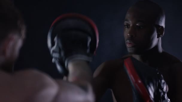 Винищувач MMA тренування з партнером — стокове відео