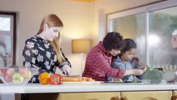 Female couple preparing a meal with son — Αρχείο Βίντεο