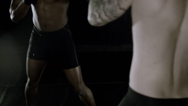 Fighter MMA trening z partnerem — Wideo stockowe
