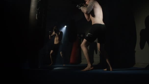 Fighter MMA szkolenia przed lustrem — Wideo stockowe