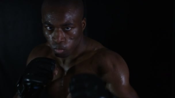 Combatiente MMA lanzando golpes — Vídeo de stock