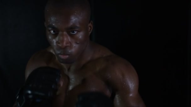 MMA lutador dando socos — Vídeo de Stock