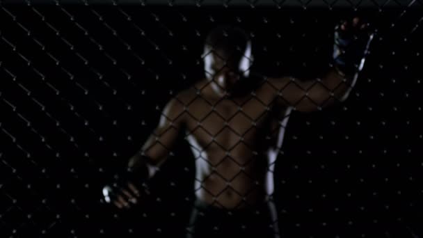 Combatiente MMA aferrado a la esgrima — Vídeo de stock