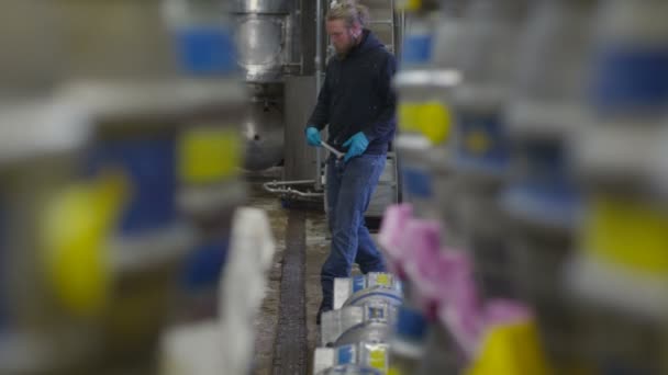 Arbeiter bereitet Fässer Bier zu — Stockvideo