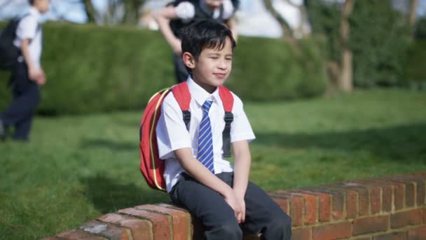 Lächelnder kleiner Junge mit Rucksack — Stockvideo