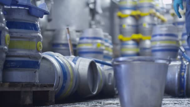 Barris de enchimento de trabalhadores de cerveja — Vídeo de Stock