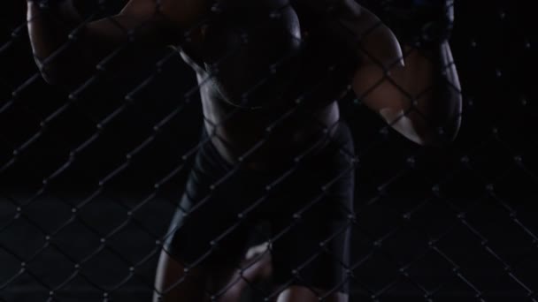 MMA fighter holding on to the fencing — Stock Video