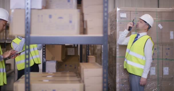 Trabalhadores que preparam mercadorias para expedição — Vídeo de Stock