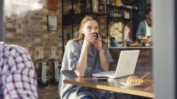 Mujer trabajando en el ordenador portátil — Vídeo de stock