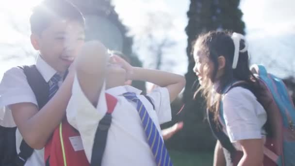 Enfants jouant à l'extérieur dans l'aire de jeux scolaire — Video